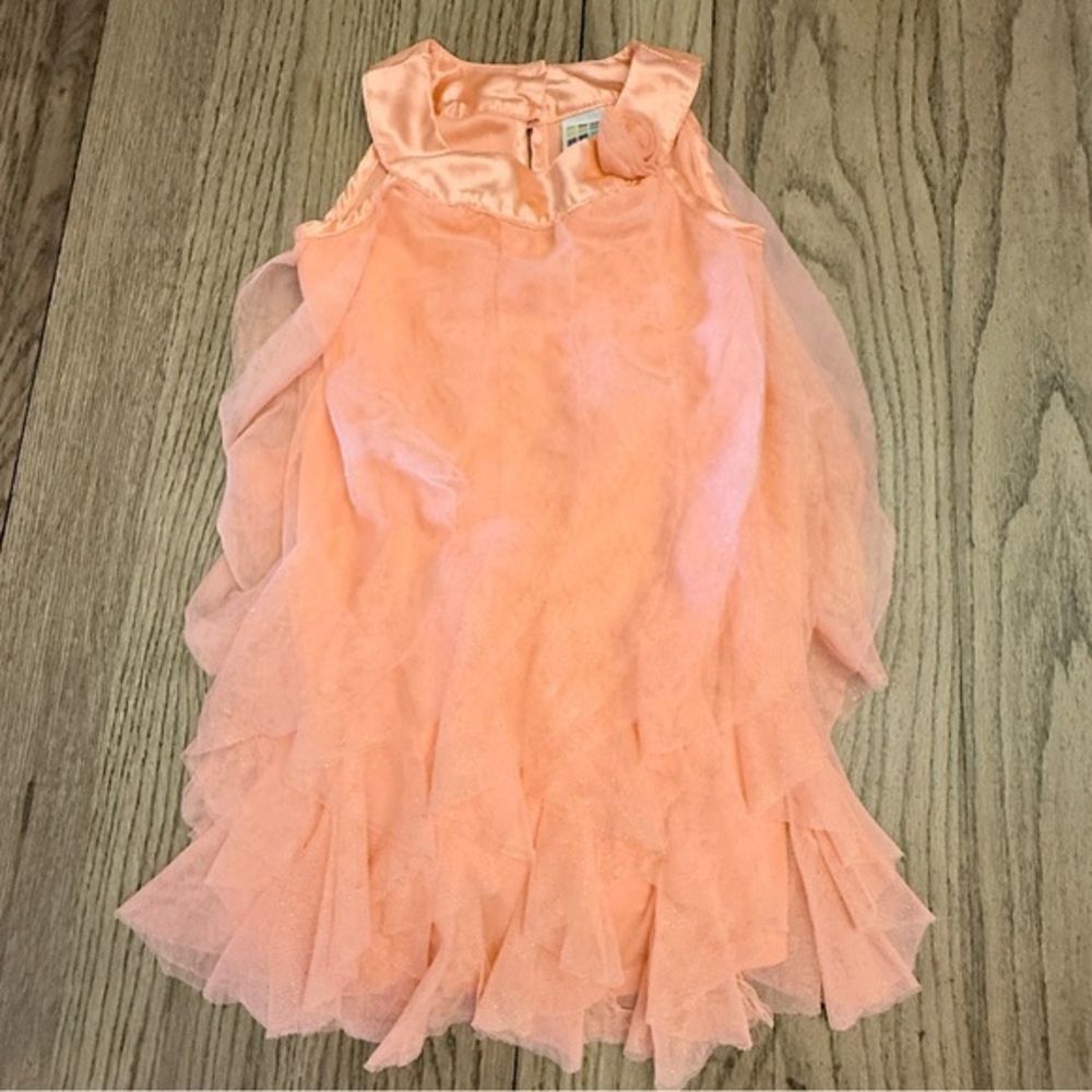 Healthtex Peach Ruffle Toddler Girl 4T Formal Dress BC